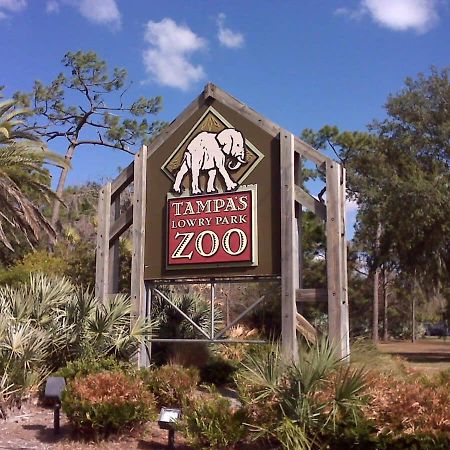 Willa 4Bd 2 Mi To Usf Free Pool + 24 Hour Gym Tampa Zewnętrze zdjęcie