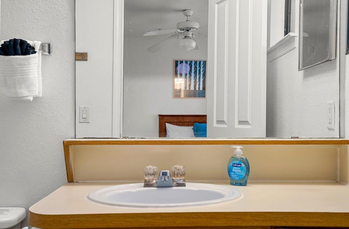 Willa 4Bd 2 Mi To Usf Free Pool + 24 Hour Gym Tampa Zewnętrze zdjęcie