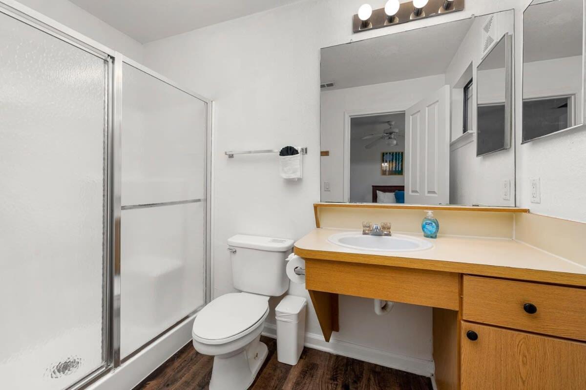 Willa 4Bd 2 Mi To Usf Free Pool + 24 Hour Gym Tampa Zewnętrze zdjęcie