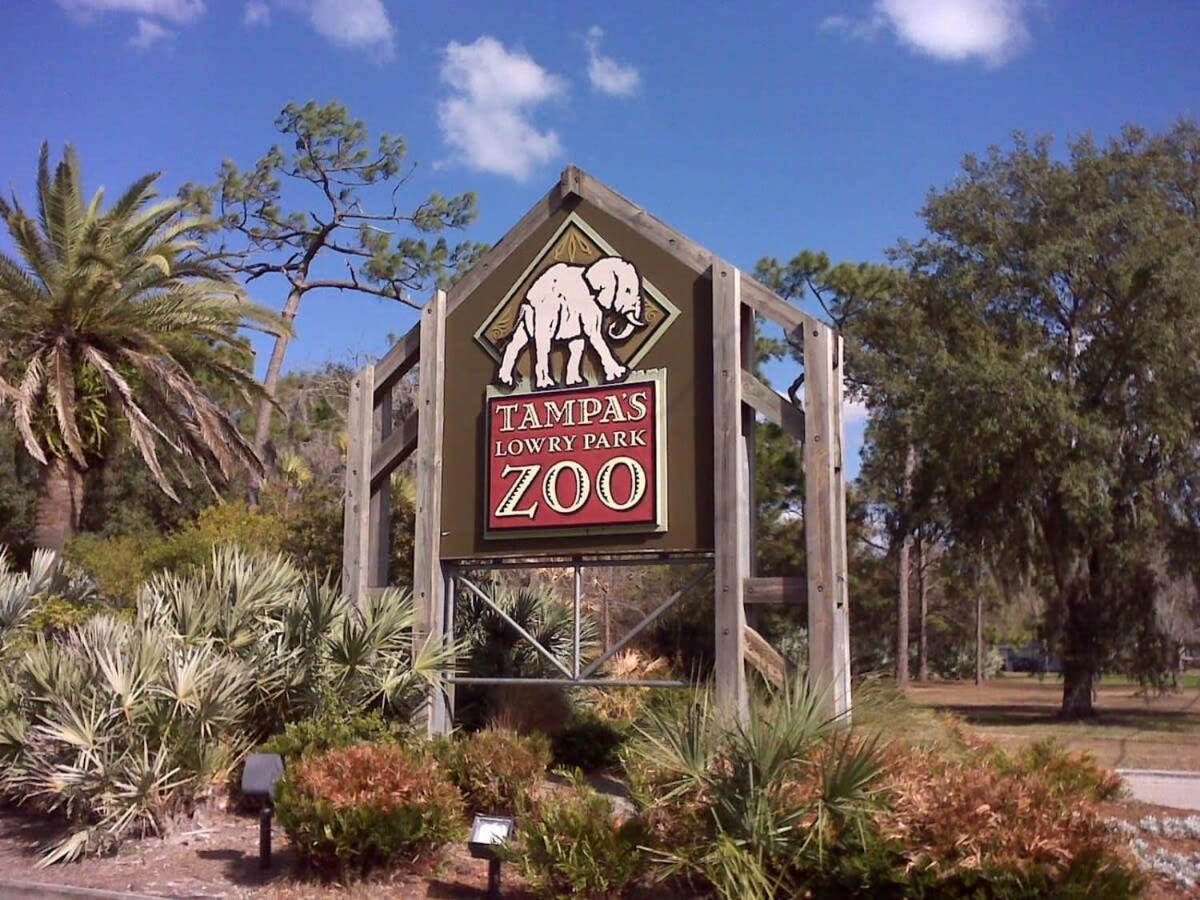 Willa 4Bd 2 Mi To Usf Free Pool + 24 Hour Gym Tampa Zewnętrze zdjęcie