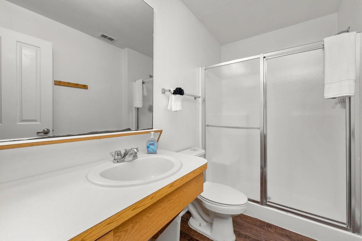 Willa 4Bd 2 Mi To Usf Free Pool + 24 Hour Gym Tampa Zewnętrze zdjęcie
